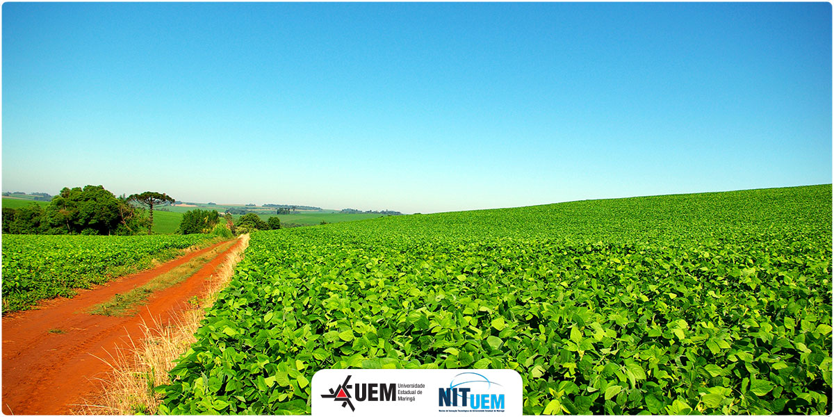 2024-abertura-agri-e-agro 2024-abertura-agri-e-agro