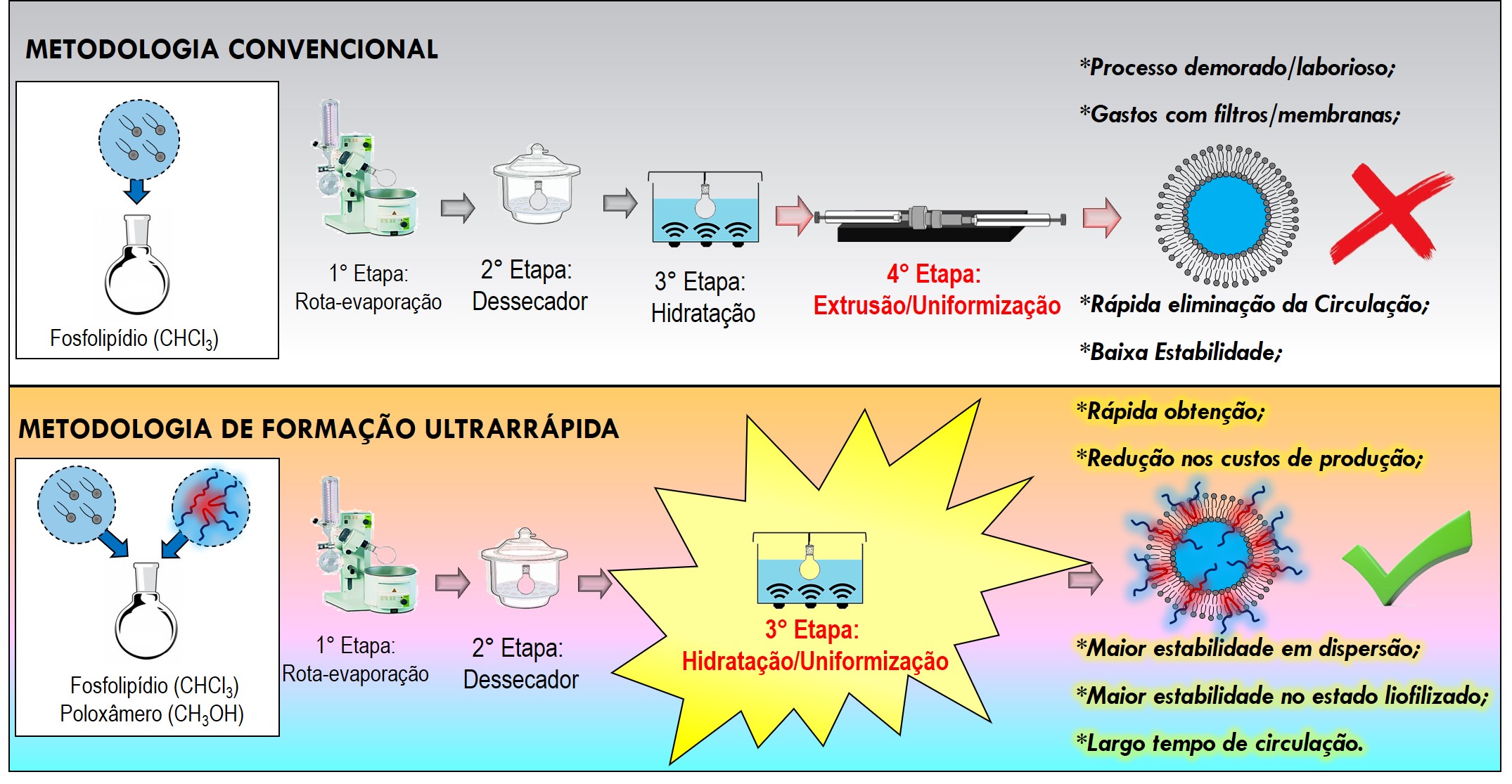 imagem1