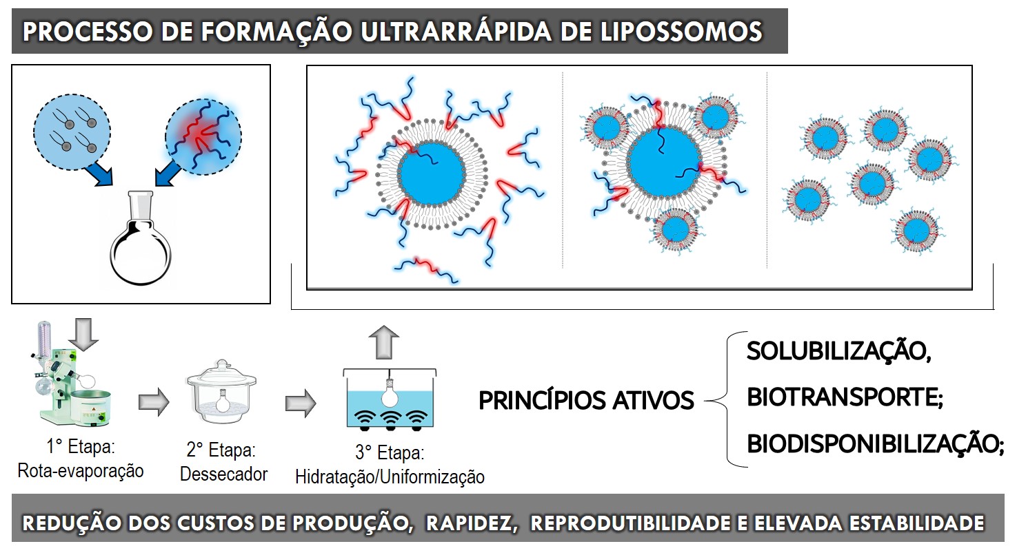 imagem3