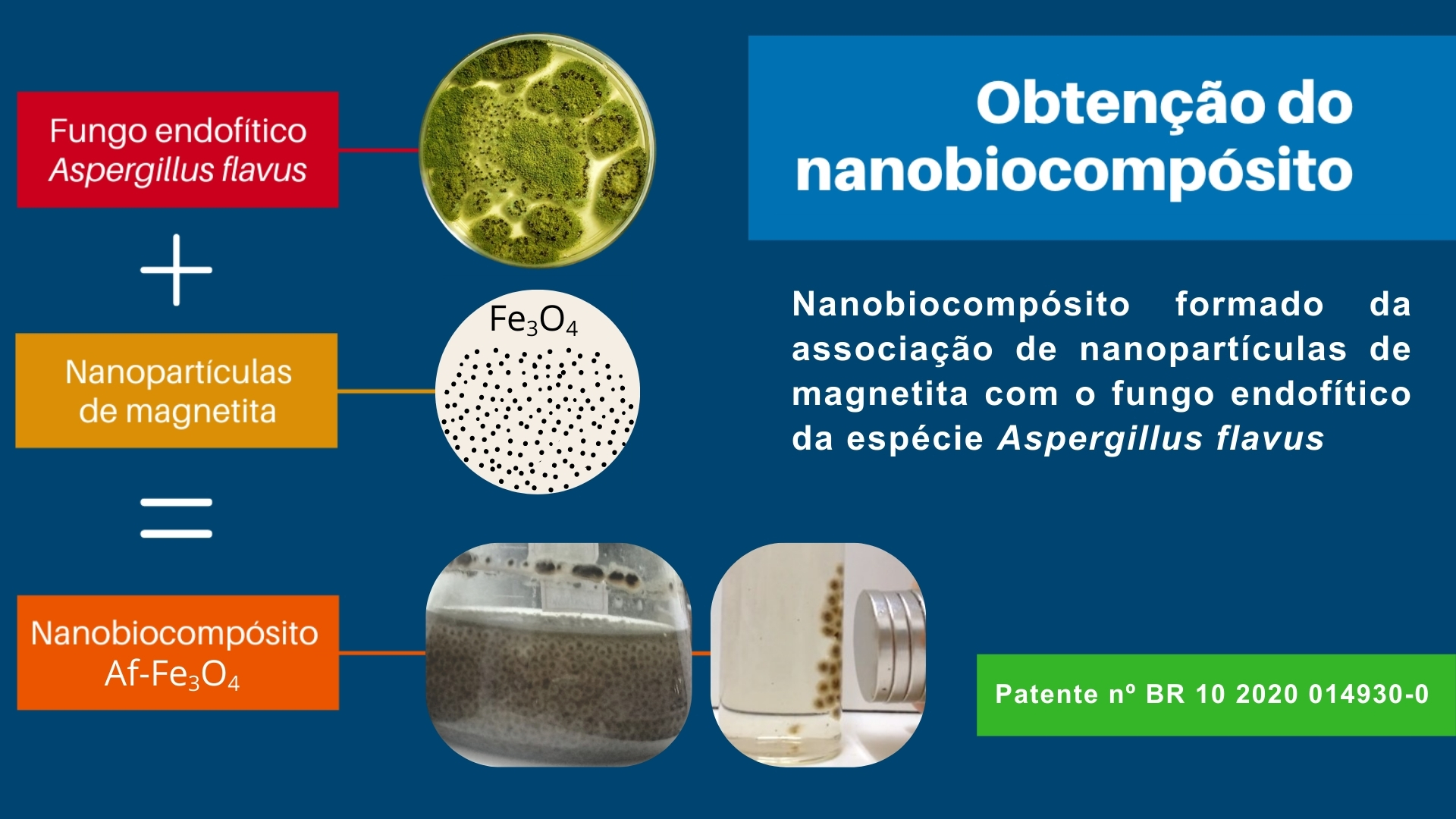 imagem-1-patente-nbc-andressa