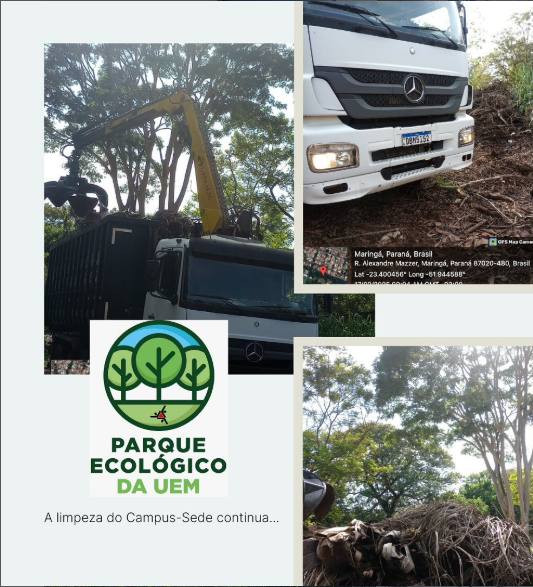 captura-de-tela-2026-06-26-111326